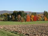 Leaf Peeping 005 : My House, Vermont